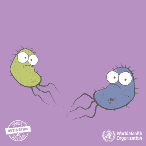 GIF from World Health Organization about antibiotic resistance.